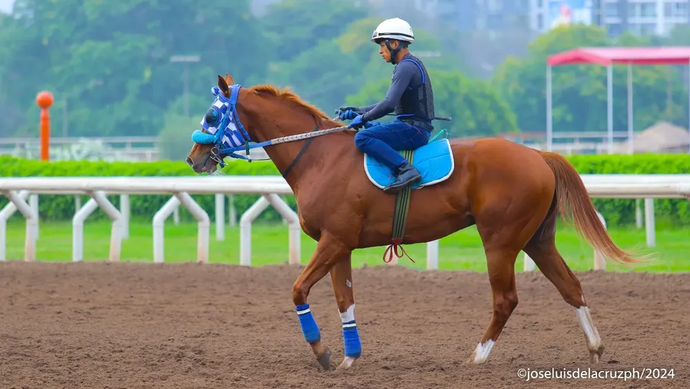 WhatsApp Image 2024-01-11 at 11.35.47 AM