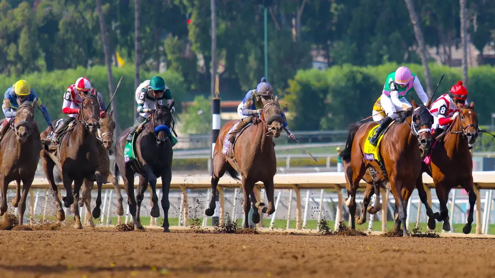 WhatsApp Image 2023-11-04 at 5.23.12 PM