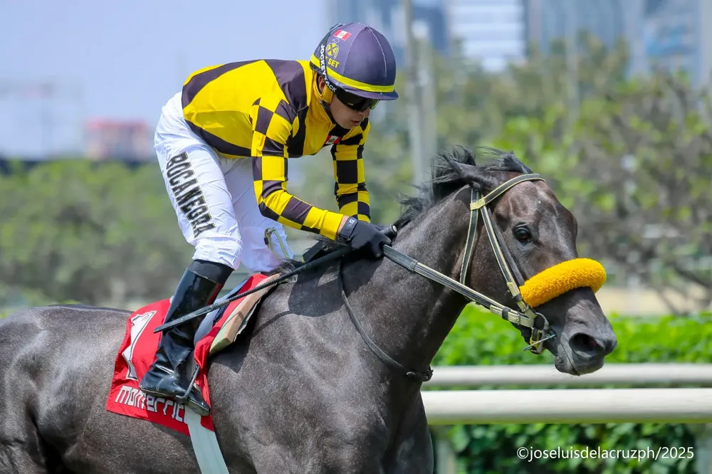 WhatsApp Image 2025-12-13 at 1.55.35 PM