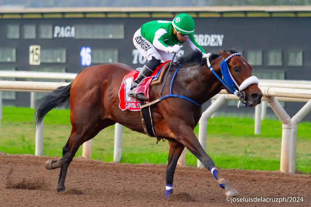 WhatsApp Image 2024-08-02 at 19.40.17 (1)