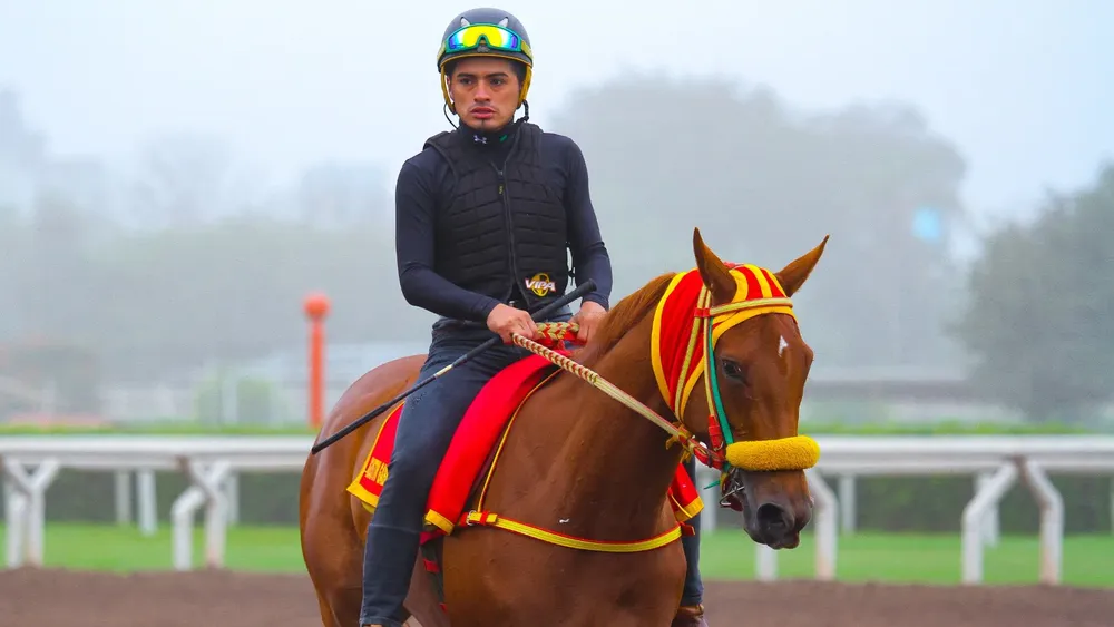 WhatsApp Image 2023-10-30 at 10.44.06 AM