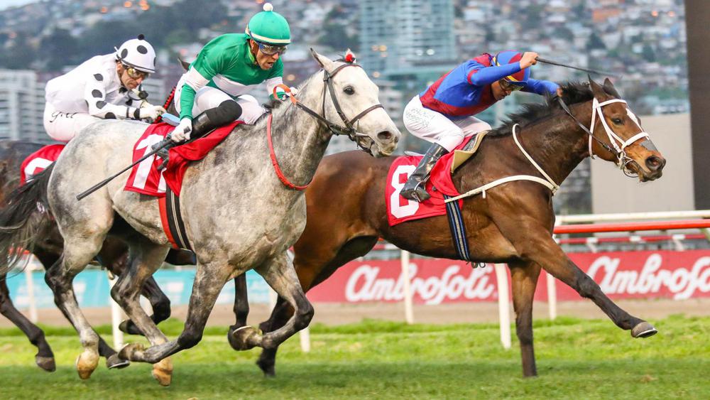 WhatsApp Image 2023-08-21 at 10.51.12 AM