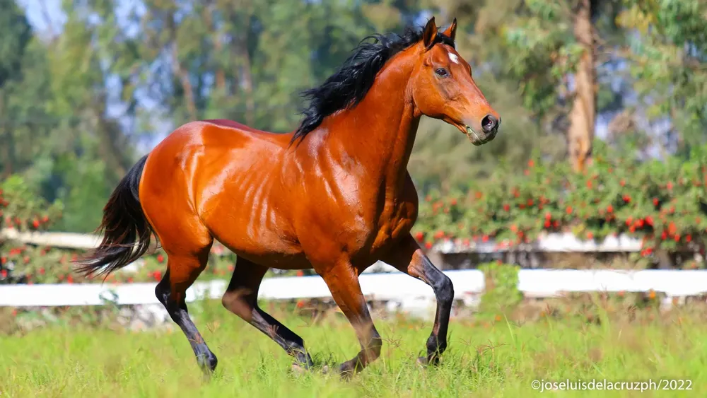 WhatsApp Image 2024-06-28 at 14.32.05