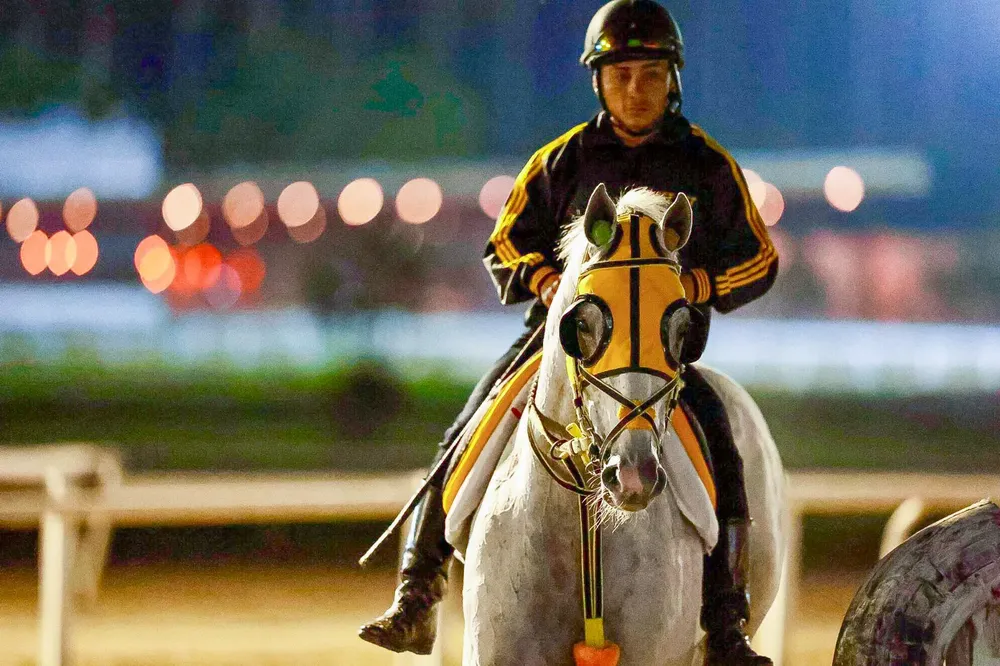 WhatsApp Image 2025-10-13 at 1.03.58 PM