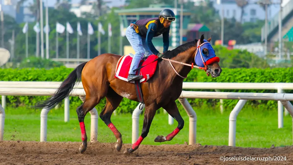 WhatsApp Image 2024-01-13 at 10.20.48 AM