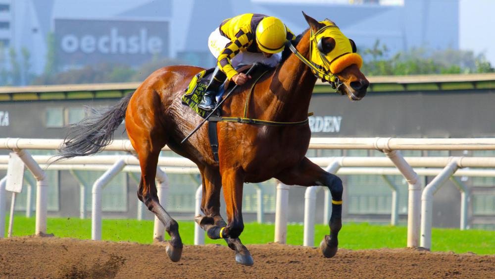 WhatsApp Image 2023-10-22 at 11.37.17 AM