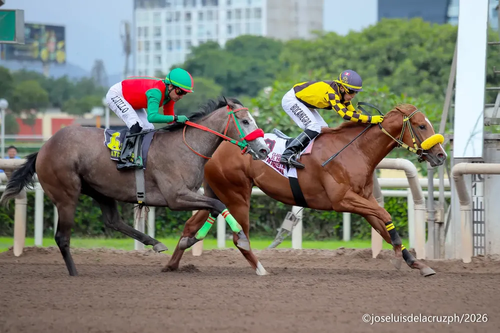 WhatsApp Image 2026-01-10 at 5.55.42 PM