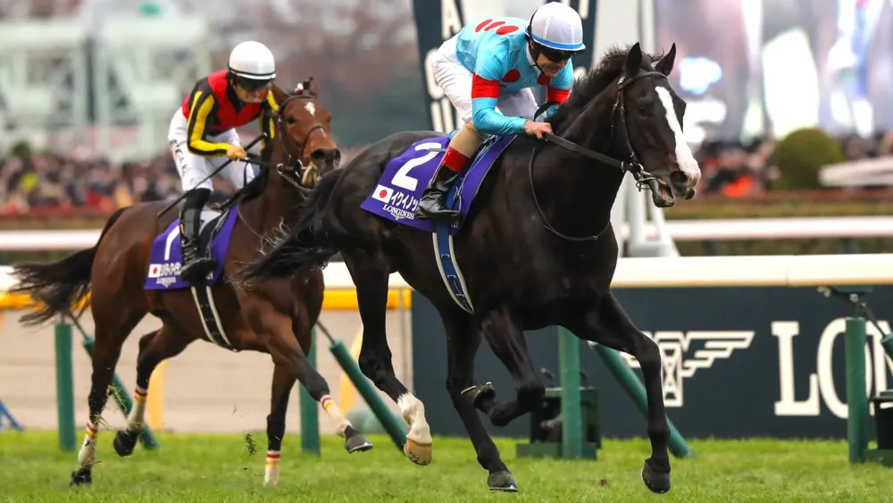 WhatsApp Image 2023-11-26 at 8.35.50 AM