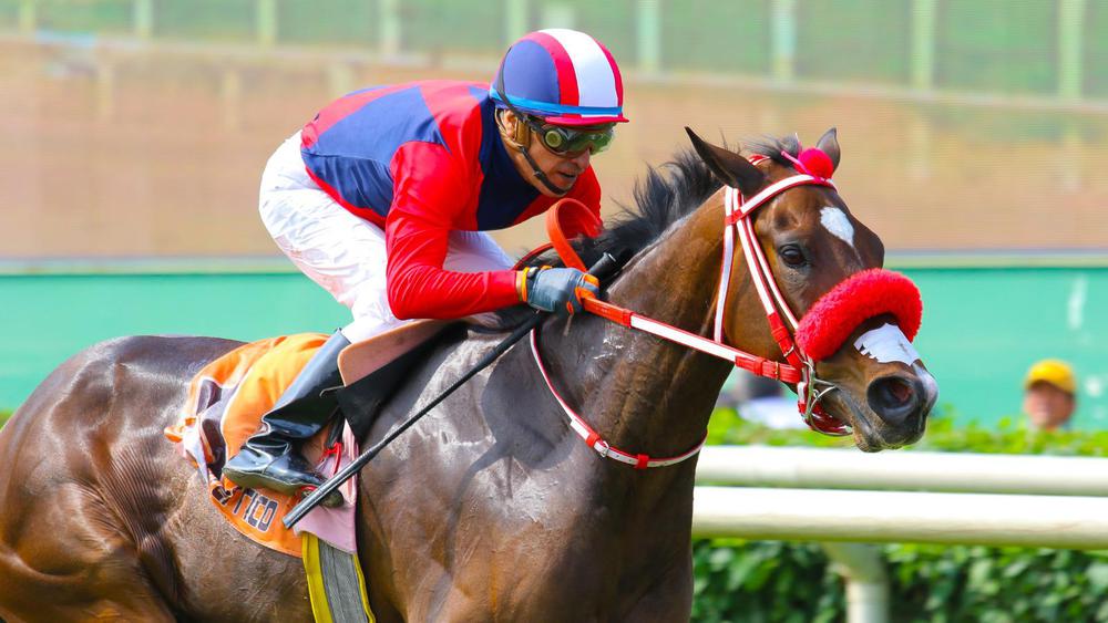 WhatsApp Image 2023-08-20 at 2.42.53 PM