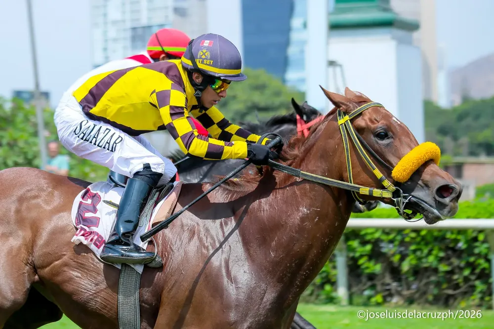 WhatsApp Image 2026-01-17 at 2.22.57 PM