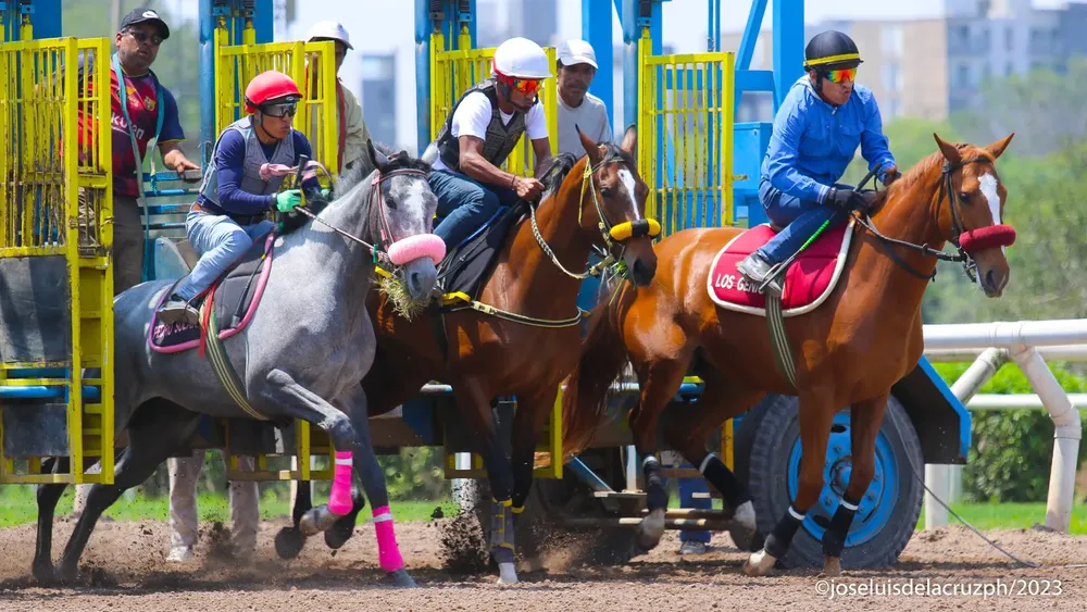 WhatsApp Image 2023-12-13 at 1.59.29 PM