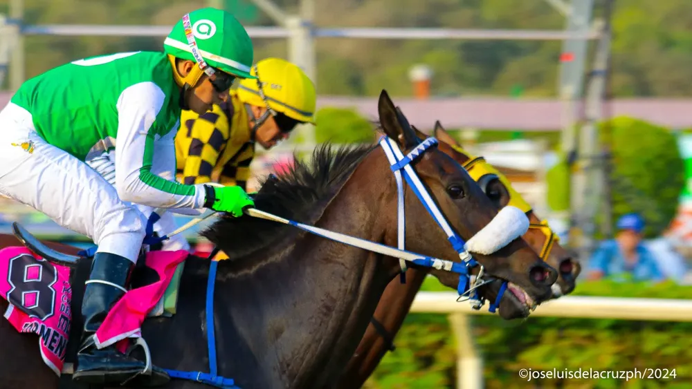 WhatsApp Image 2024-04-28 at 17.31.35