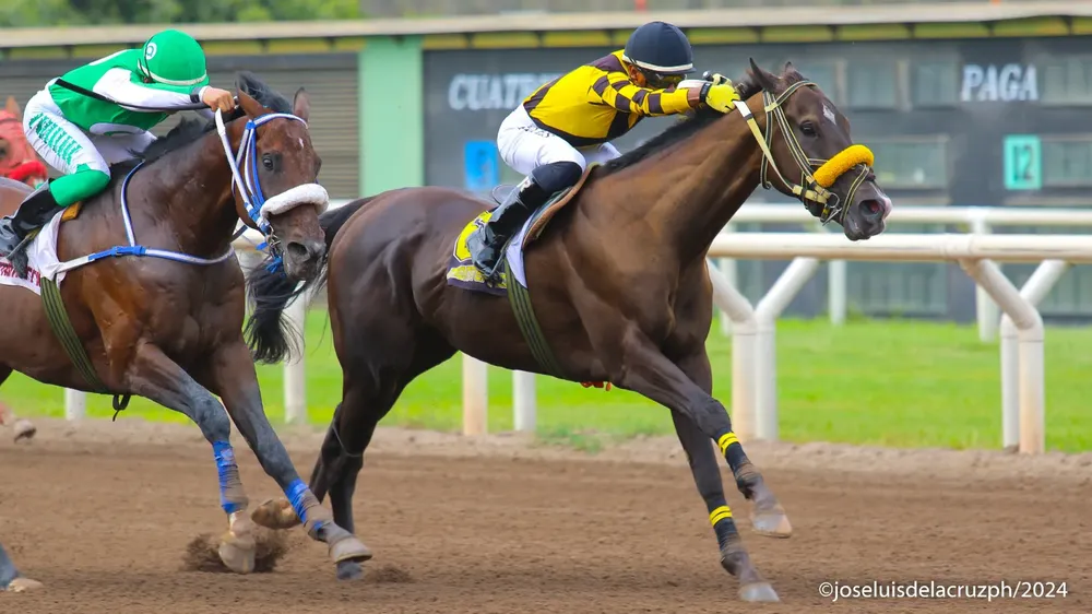 WhatsApp Image 2024-02-26 at 3.39.24 PM