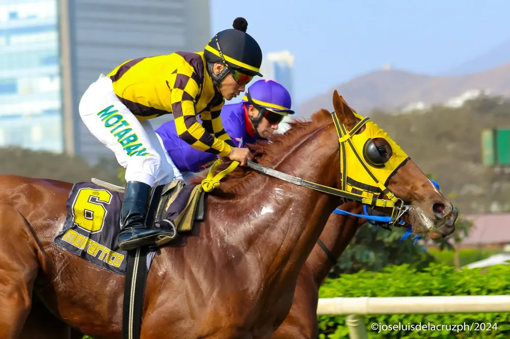 WhatsApp Image 2024-09-27 at 09.35.11