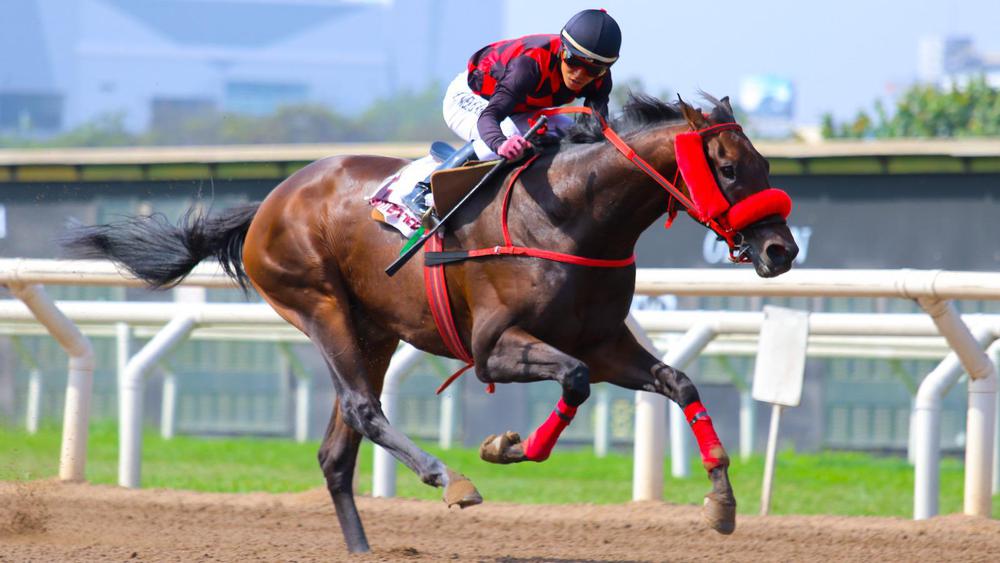 WhatsApp Image 2023-09-25 at 3.21.52 PM