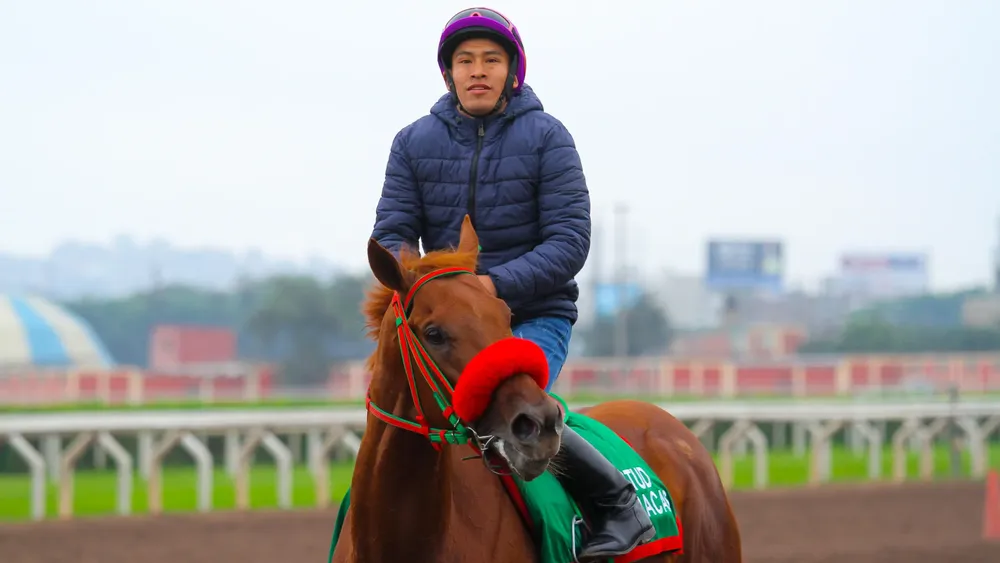 WhatsApp Image 2023-10-27 at 6.01.45 PM