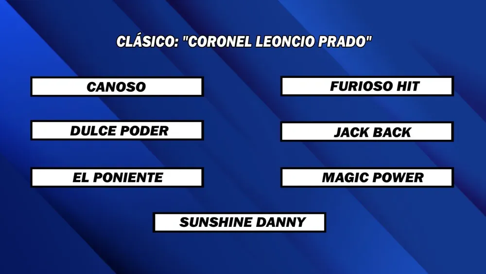 WhatsApp Image 2025-07-29 at 12.49.18 PM (1)