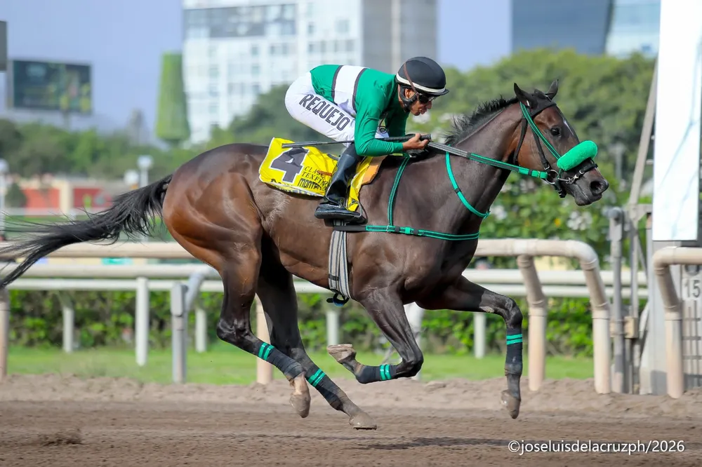 CAMILITA - Foto: José Luis De La Cruz