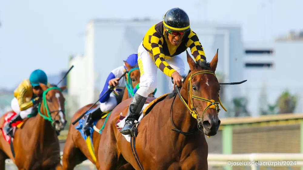 WhatsApp Image 2024-01-28 at 5.02.08 PM