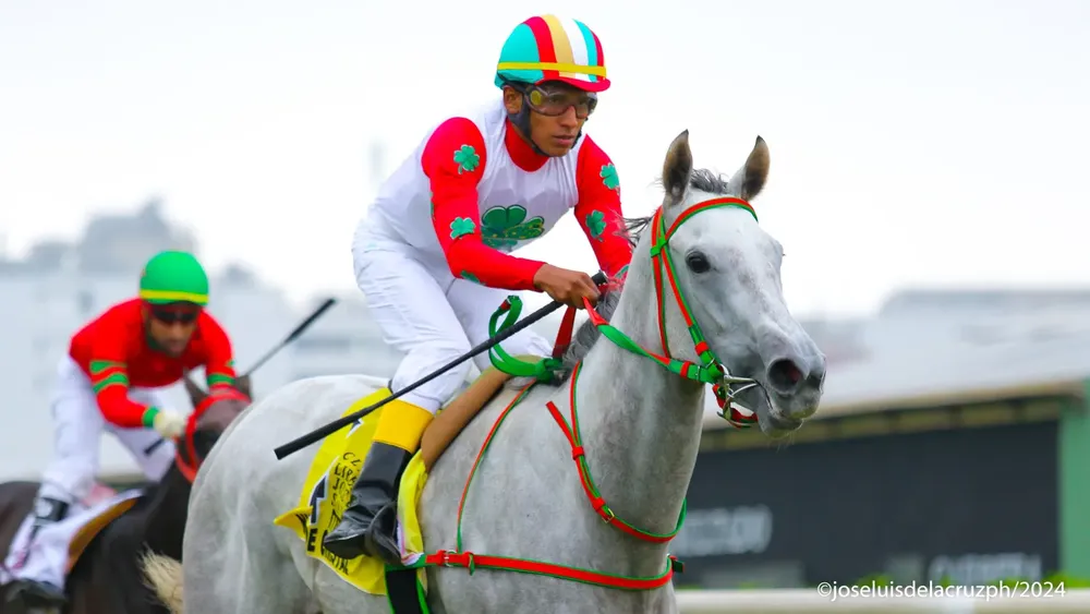 WhatsApp Image 2024-05-19 at 16.01.22