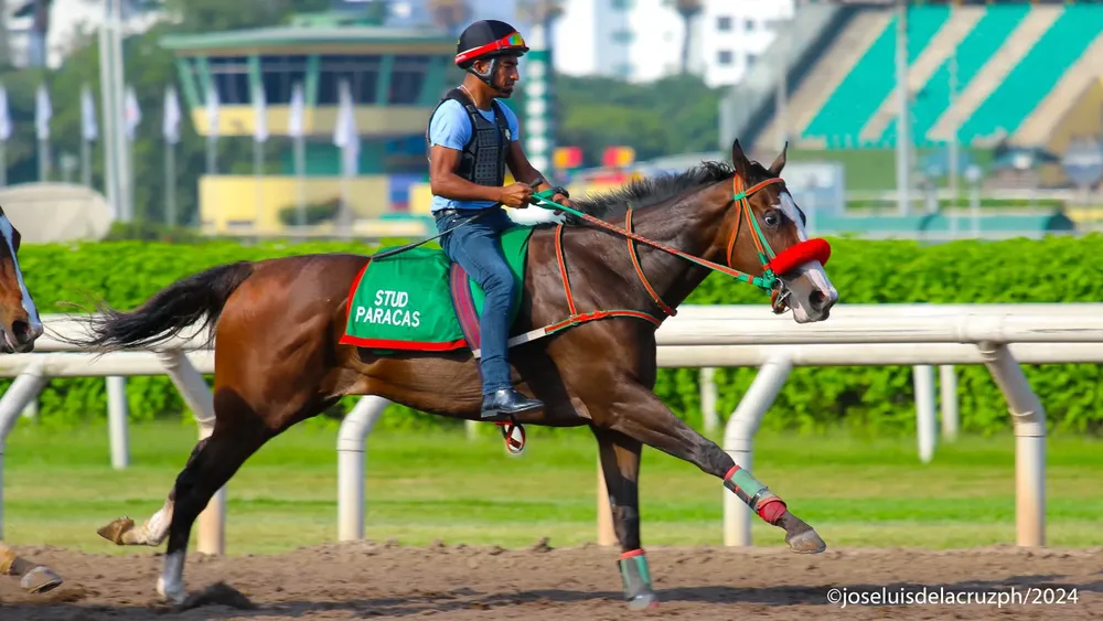 WhatsApp Image 2024-03-05 at 11.21.38 AM