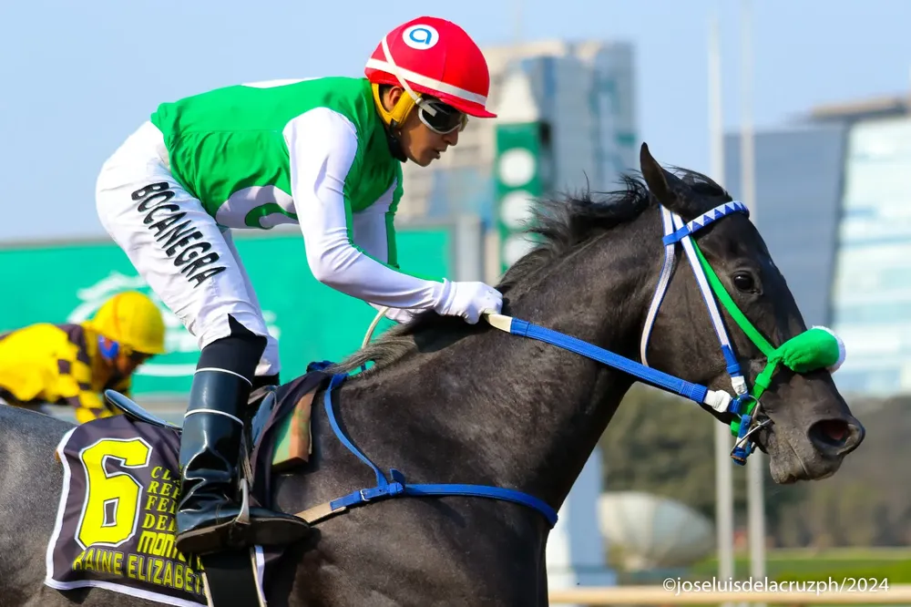 WhatsApp Image 2024-09-07 at 19.30.10