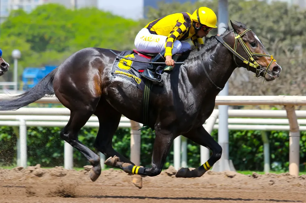 WhatsApp Image 2024-11-11 at 12.37.18