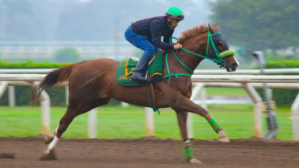 WhatsApp Image 2023-09-14 at 11.34.25 AM