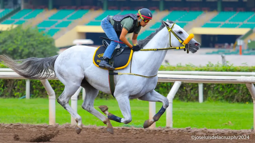 WhatsApp Image 2024-02-05 at 10.21.50 AM