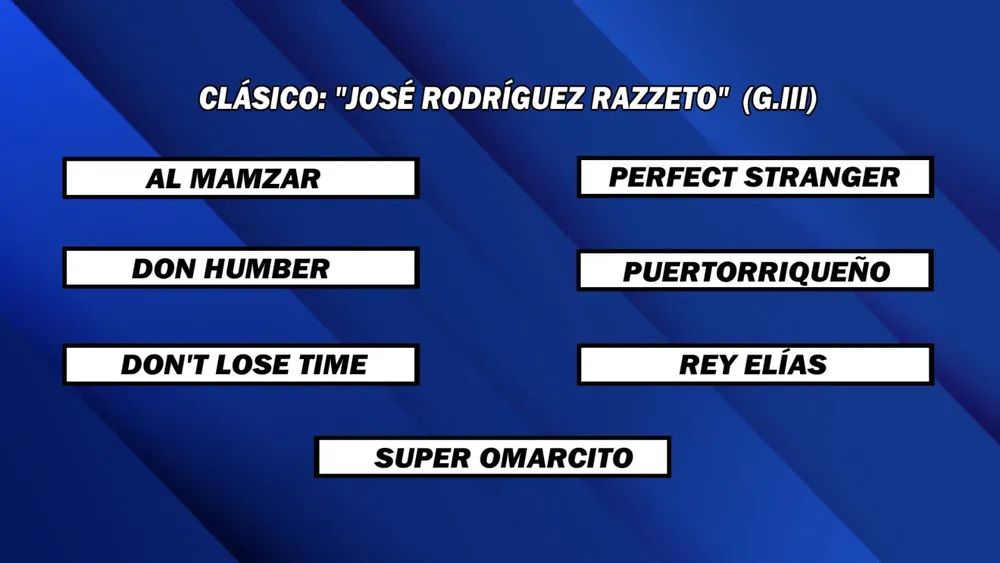 WhatsApp Image 2024-12-16 at 14.08.57