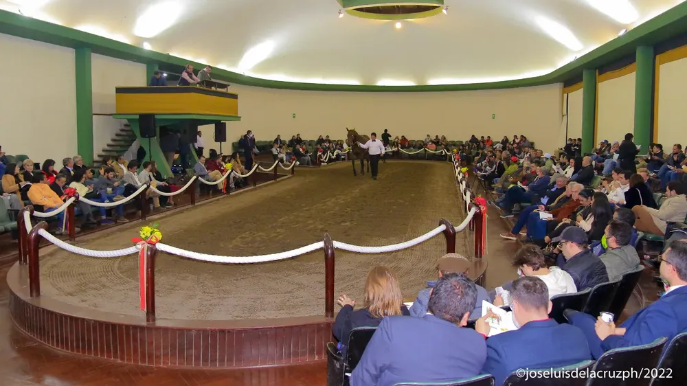 WhatsApp Image 2024-07-06 at 08.59.22