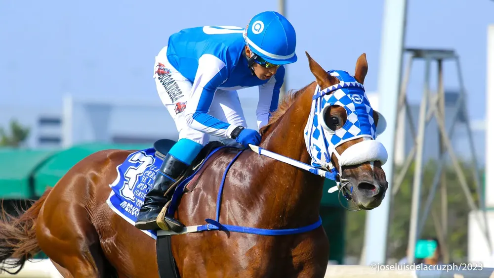 WhatsApp Image 2023-11-12 at 4.16.45 PM