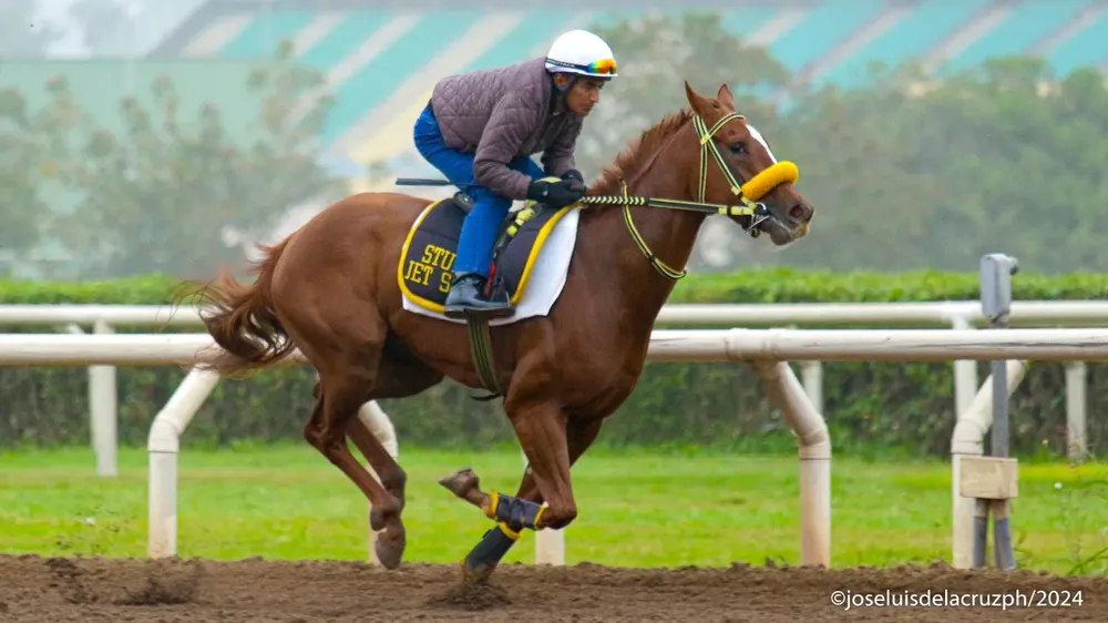 WhatsApp Image 2024-06-26 at 12.04.50