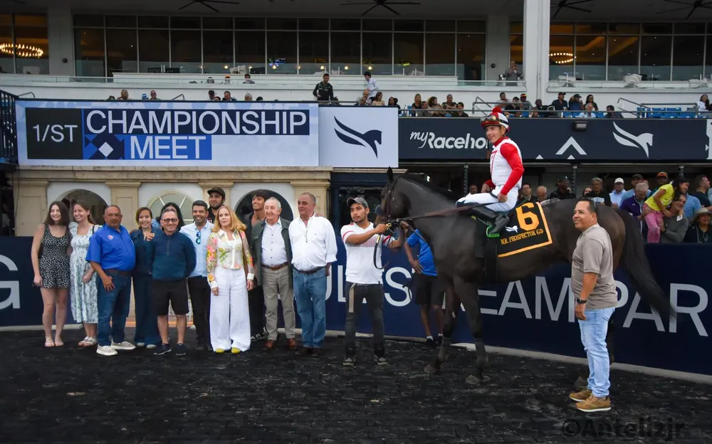 WhatsApp Image 2024-12-28 at 18.31.00