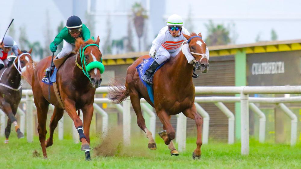 WhatsApp Image 2023-08-05 at 10.43.09 AM