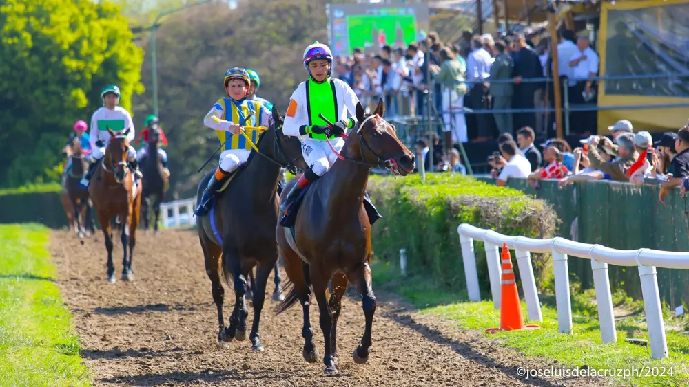 WhatsApp Image 2024-01-21 at 9.34.55 AM