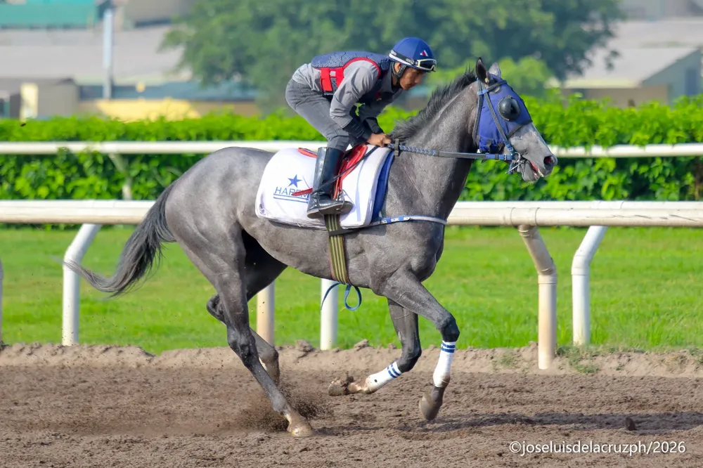 WhatsApp Image 2026-01-21 at 11.25.53 AM