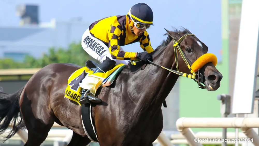 WhatsApp Image 2024-03-02 at 4.31.11 PM