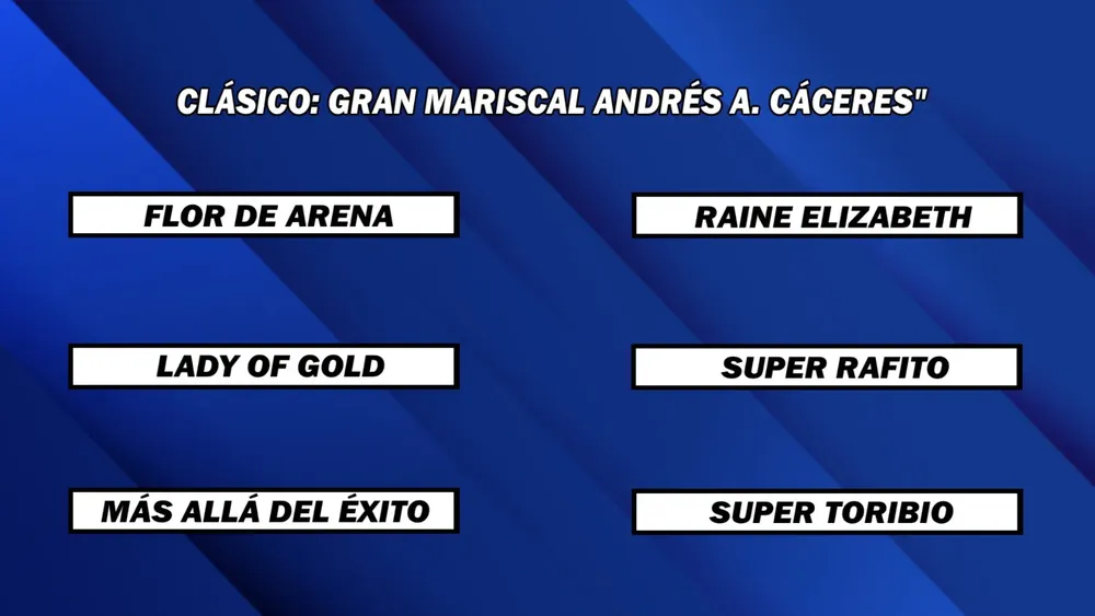 WhatsApp Image 2024-11-25 at 13.54.12 (1)