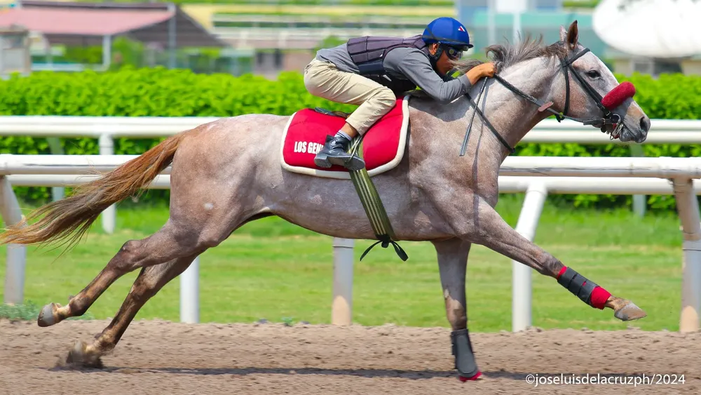 WhatsApp Image 2024-03-06 at 11.42.09 AM