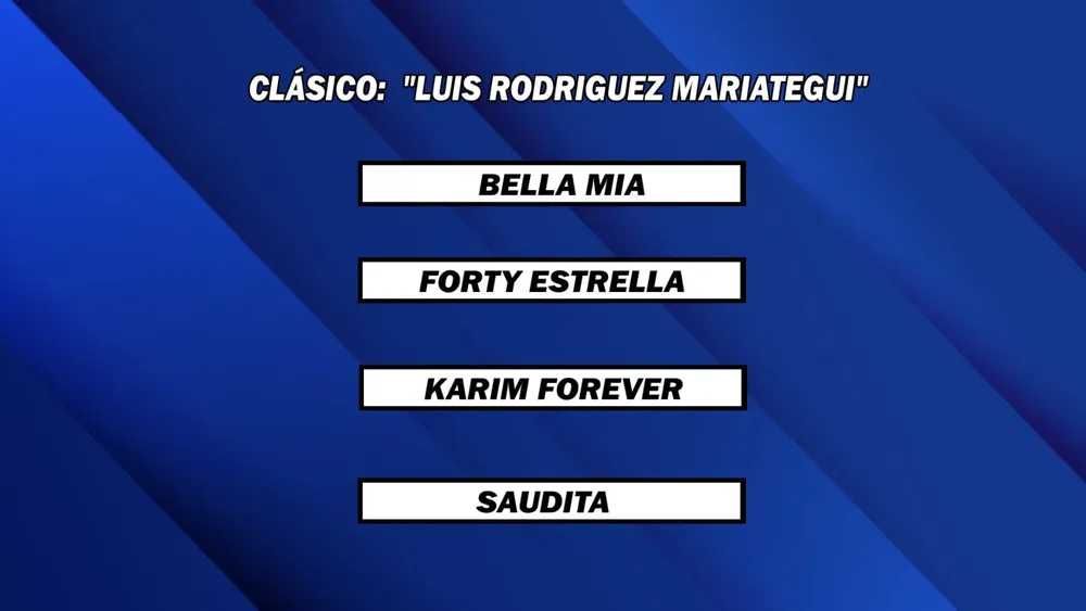 WhatsApp Image 2026-01-05 at 2.05.47 PM (1)