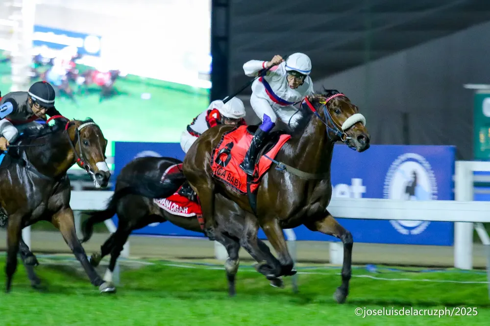 WhatsApp Image 2025-10-23 at 10.53.56 AM