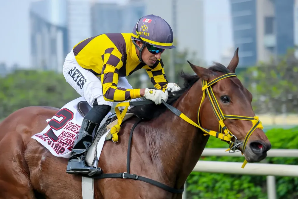 WhatsApp Image 2025-12-06 at 4.26.06 PM