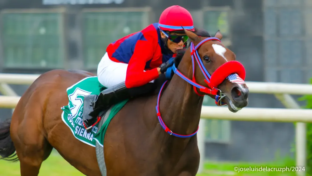 WhatsApp Image 2024-02-17 at 4.42.39 PM