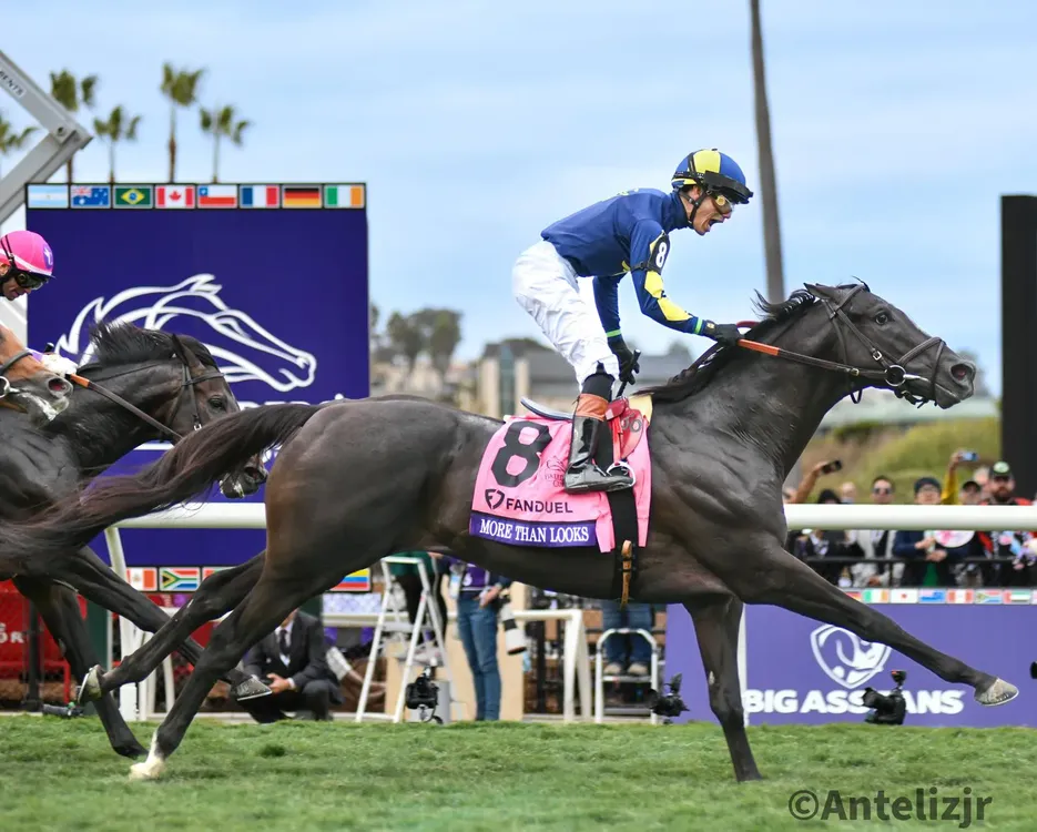 WhatsApp Image 2024-11-02 at 19.49.24