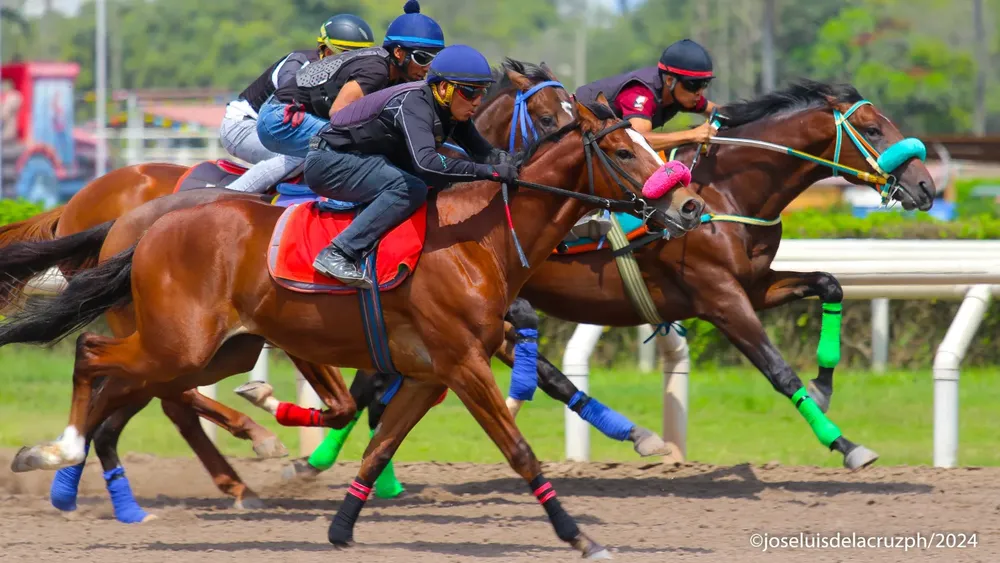 WhatsApp Image 2024-04-03 at 3.01.16 PM