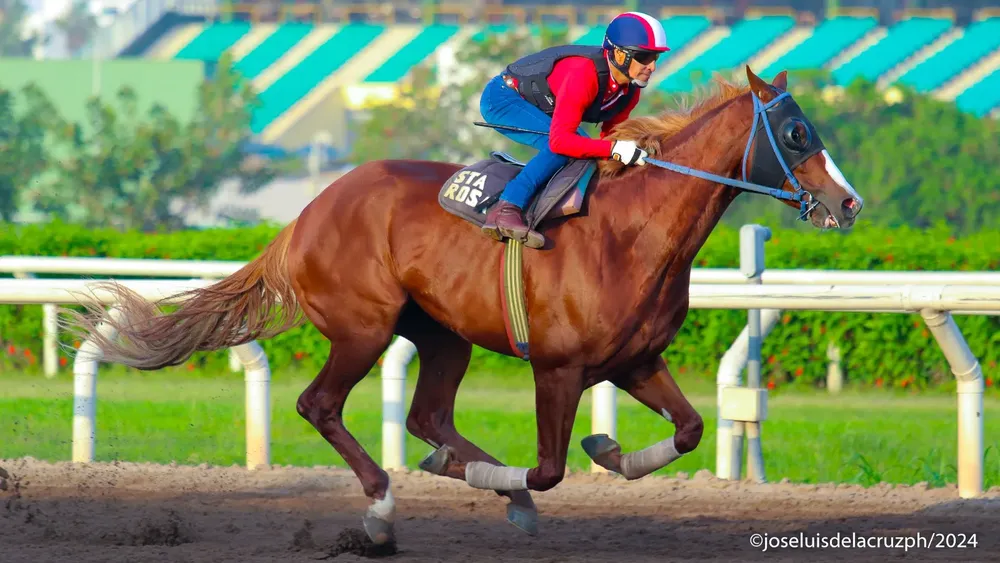 WhatsApp Image 2024-04-30 at 11.20.19