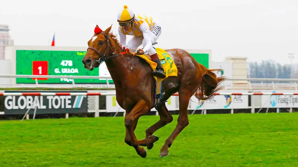 WhatsApp Image 2024-03-22 at 4.26.36 PM