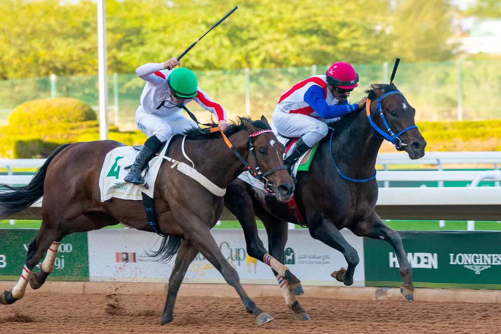 RS33006_1-2-21-25_ International Jockey Challenge R1_Mathea Kelley-JCSA-2