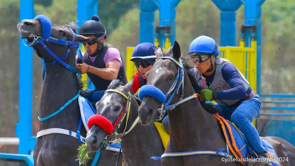 WhatsApp Image 2024-01-24 at 12.01.31 PM